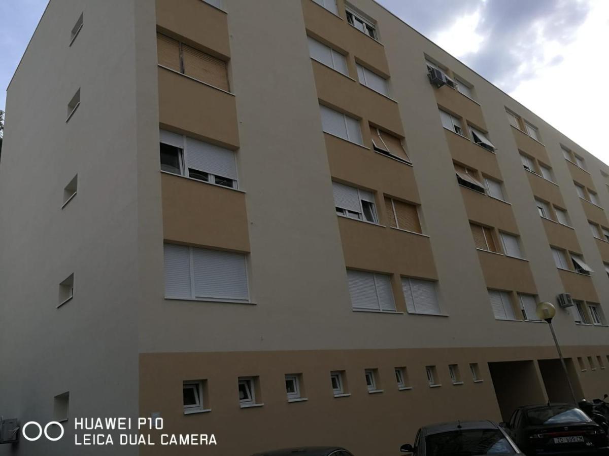 Apartment Mihaela Zadar Exterior foto