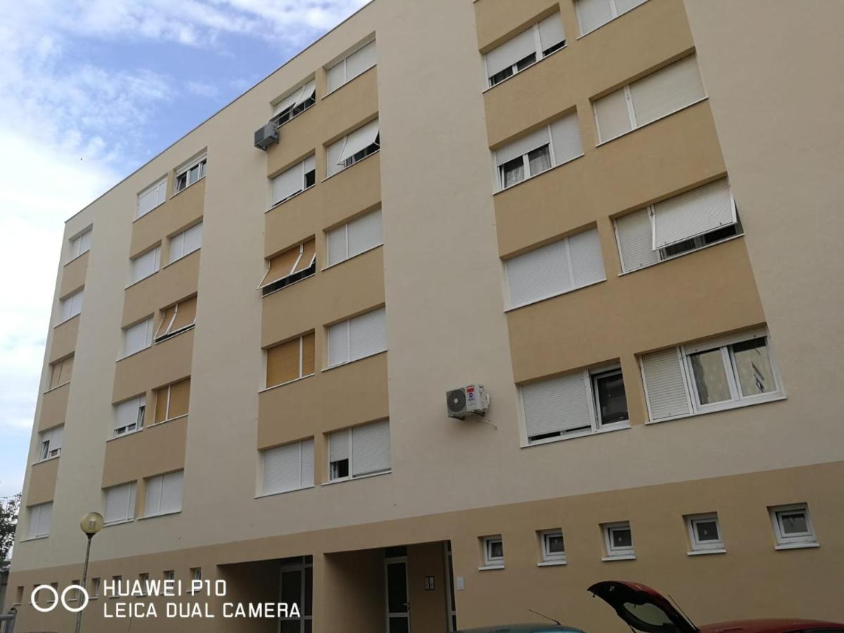 Apartment Mihaela Zadar Exterior foto